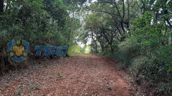 Lote localizado em Zona Rural. 0 quartos, 0 banheiros e 0 vagas. Foto 9