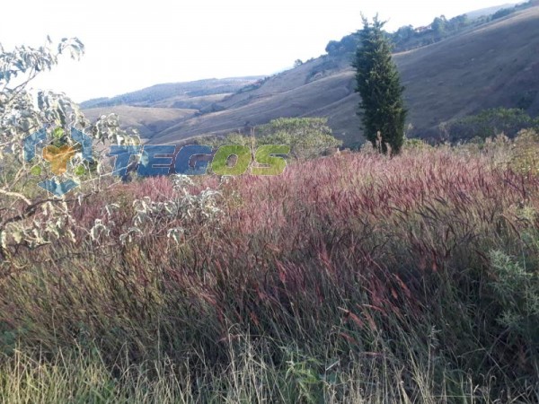 Lote localizado em Vale Dos Pinhais. 0 quartos, 0 banheiros e 0 vagas. Foto 3