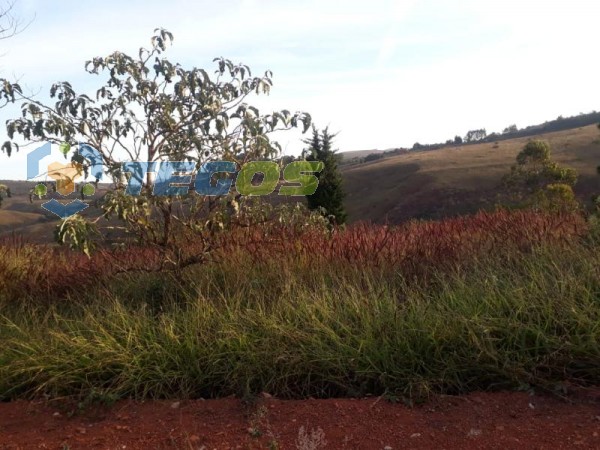 Lote localizado em Vale Dos Pinhais. 0 quartos, 0 banheiros e 0 vagas. Foto 5