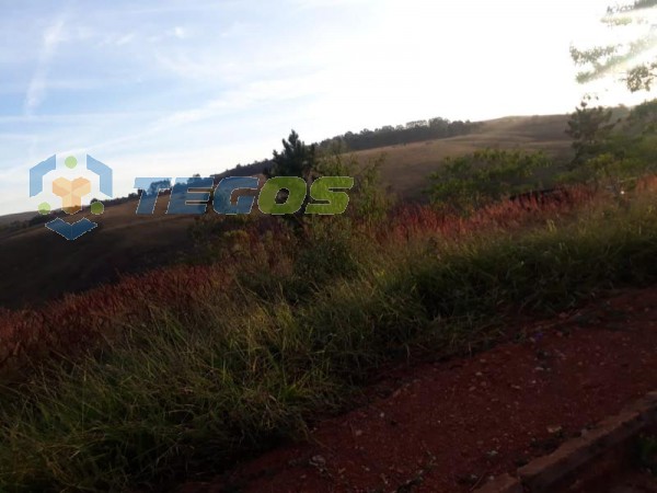 Lote localizado em Vale Dos Pinhais. 0 quartos, 0 banheiros e 0 vagas. Foto 6