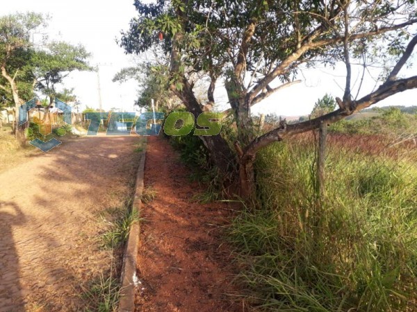 Lote localizado em Vale Dos Pinhais. 0 quartos, 0 banheiros e 0 vagas. Foto 7