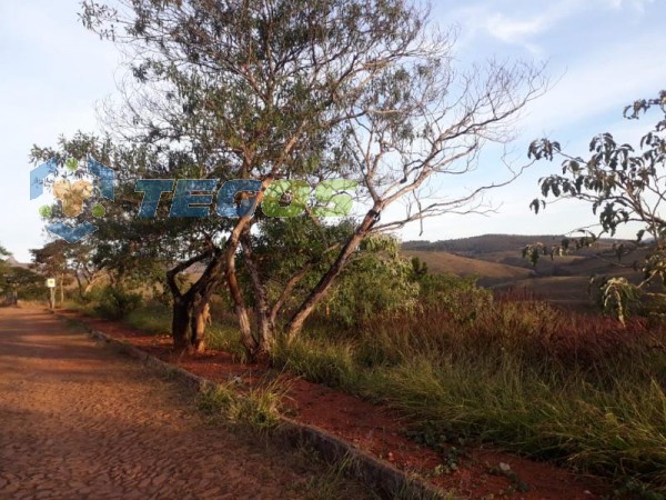 Lote localizado em Vale Dos Pinhais. 0 quartos, 0 banheiros e 0 vagas. Foto 8