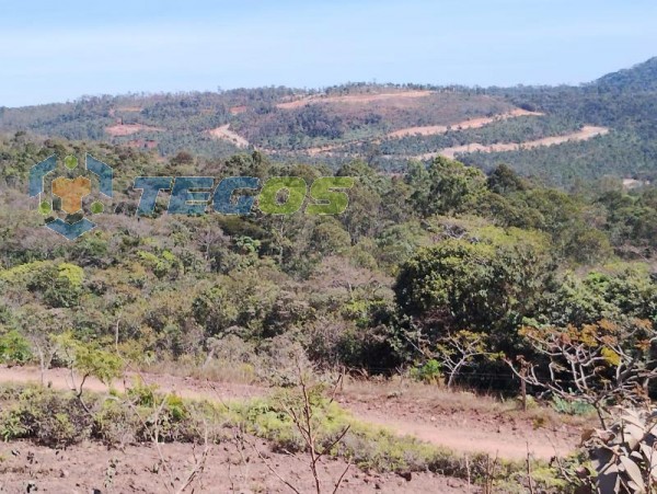 Excelente fazendinha no Distrito de Cachoeira do Campo Foto 3