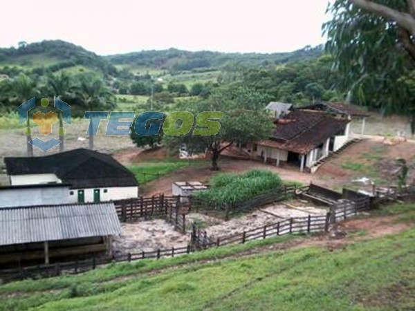 Fazenda à venda, 4 quartos, 4 suítes, 10 vagas, Centro - Porto Firme/MG Foto 1