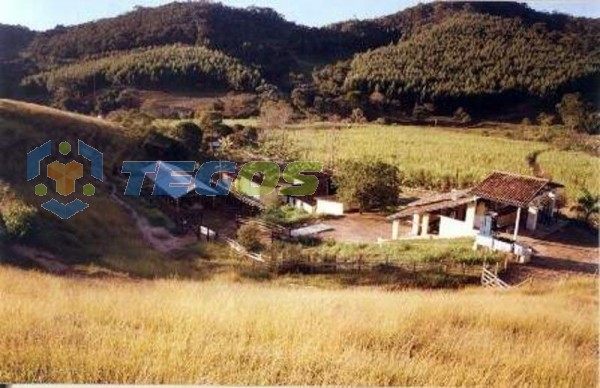 Fazenda à venda, 4 quartos, 4 suítes, 10 vagas, Centro - Porto Firme/MG Foto 2