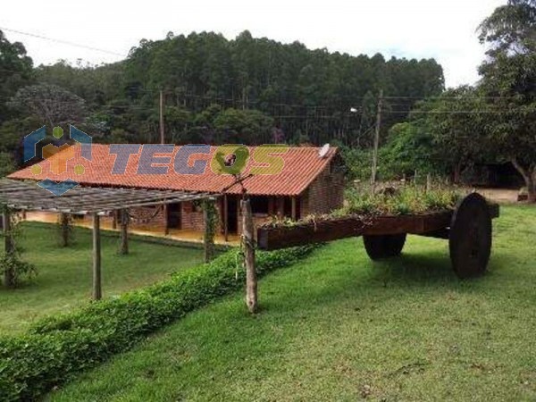 Fazenda à venda, 4 quartos, 4 suítes, 10 vagas, Centro - Porto Firme/MG Foto 10