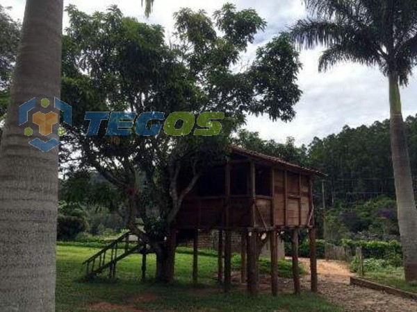 Fazenda à venda, 4 quartos, 4 suítes, 10 vagas, Centro - Porto Firme/MG Foto 16