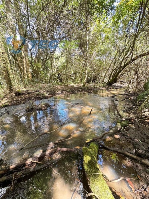 Chácaras em Itatiaiuçu (região rio são João) Foto 5