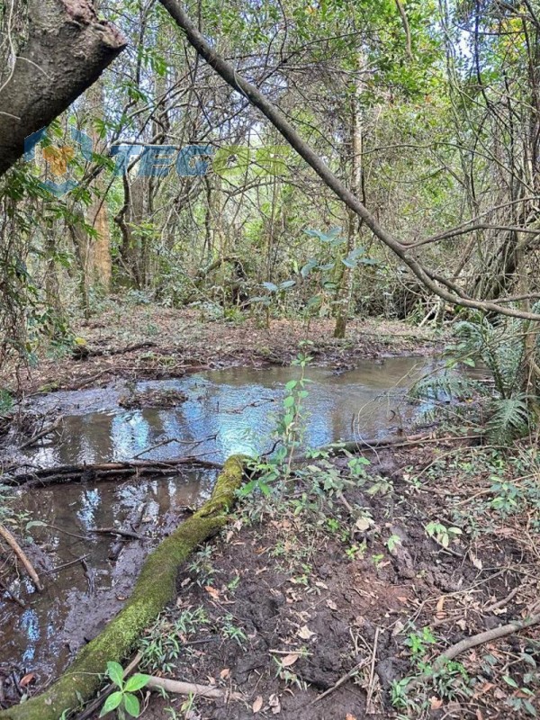 Chácaras em Itatiaiuçu (região rio são João) Foto 6